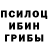 Псилоцибиновые грибы Psilocybe Jmen Tarasiuk