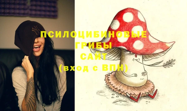 ALPHA-PVP Нязепетровск