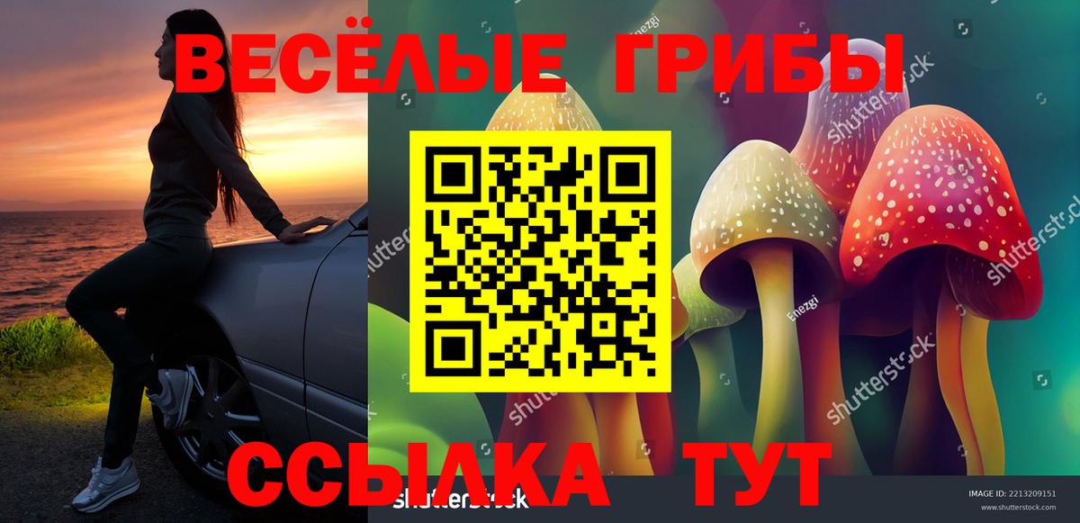Галлюциногенные грибы мицелий  Галлюциногенные грибы мицелий  Ульяновск  Вход с VPN 